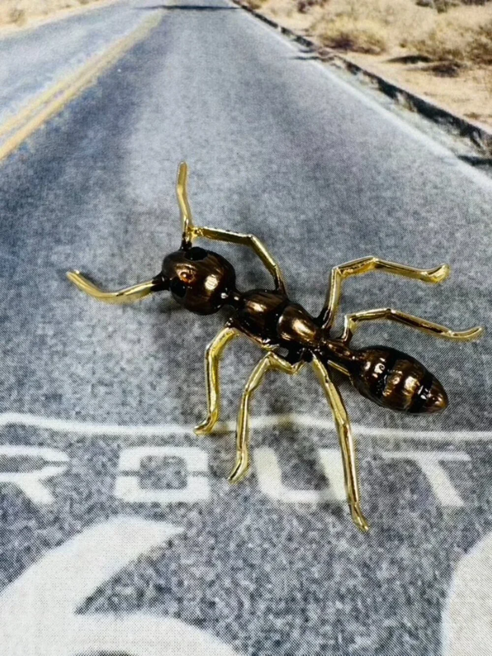 Ants in your pants oh no! How about an adorable ant pin on a jacket or a hat!